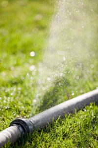 Lawn and Garden Maintenance in Petaluma, CA Lawn and Garden Maintenance in Petaluma, CA