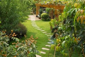 Local Landscaping Services Petaluma, CA Local Landscaping Services Petaluma, CA