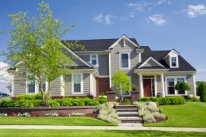Local Landscaping Services in Petaluma, CA Local Landscaping Services in Petaluma, CA